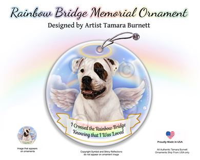 Raining Cats and Dogs American Bulldog Rainbow Bridge Memorial