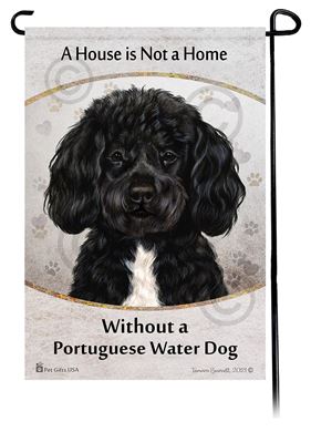 what colors do portuguese water dogs come in