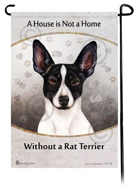 can rat terriers get along with cats