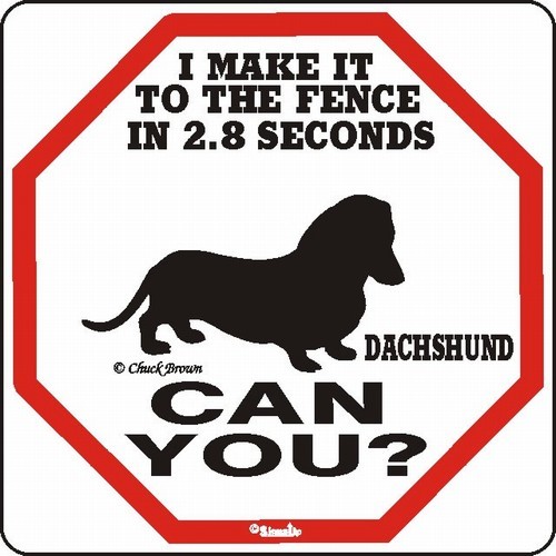 Dachshund 2.8 Fence Dog Sign 