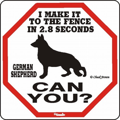 German shepherd outlet fence