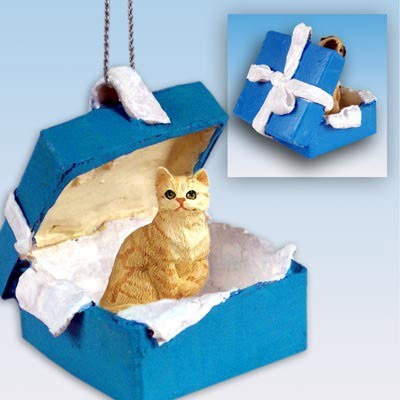 cat gift box