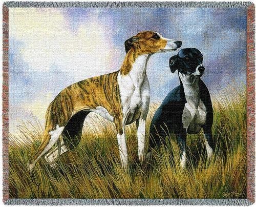 Greyhound blankets best sale