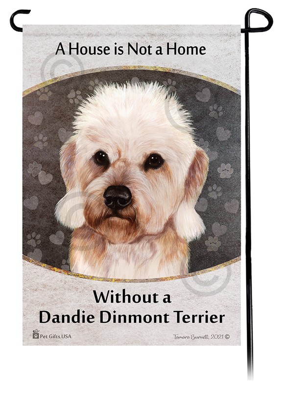 Dandie dinmont terrier sales in not