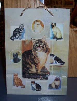 Raining Cats and Dogs | Cat Gift Bag