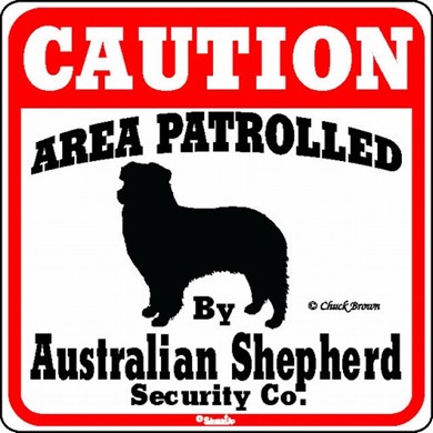 Raining Cats and Dogs | Australian Shepherd Caution Sign, the Perfect Dog Warning Sign