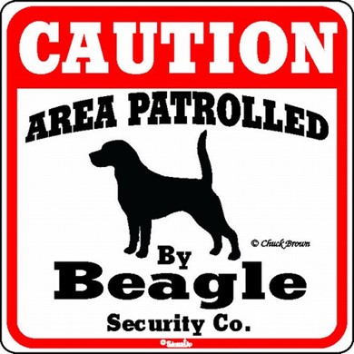 Raining Cats and Dogs | Beagle Caution Sign, the Perfect Dog Warning Sign
