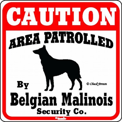 Raining Cats and Dogs | Belgian Malinois Caution Sign, the Perfect Dog Warning Sign