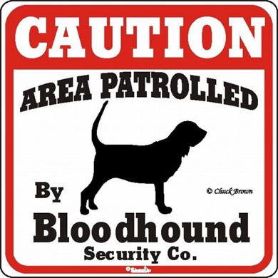 Raining Cats and Dogs | Bloodhound Caution Sign, the Perfect Dog Warning Sign