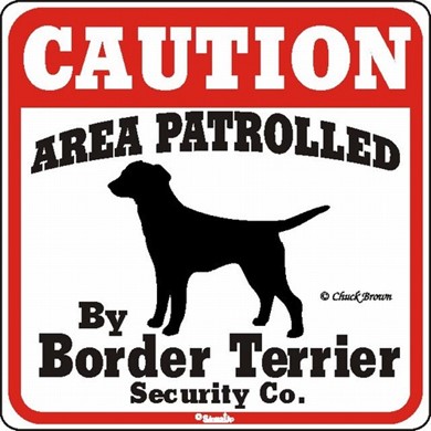 Raining Cats and Dogs | Border Terrier Caution Sign, the Perfect Dog Warning Sign