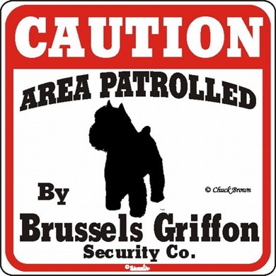 Raining Cats and Dogs | Brussels Griffon Caution Sign, the Perfect Dog Warning Sign