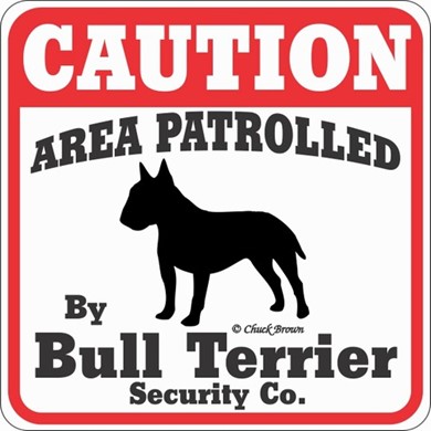 Raining Cats and Dogs | Bull Terrier Caution Sign,t he Perfect Dog Warning Sign