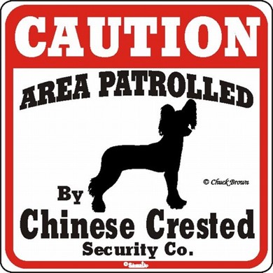 Raining Cats and Dogs | Chinese Crested Caution Sign, a Fun Dog Warning Sign