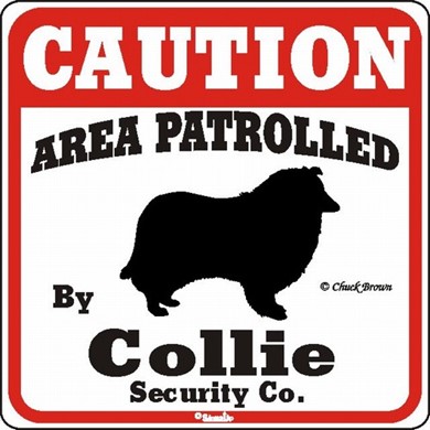 Raining Cats and Dogs | Collie Caution Sign, the Perfect Dog Warning Sign