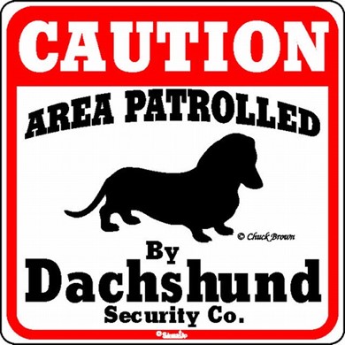 Raining Cats and Dogs | Dachshund Caution Sign, the Perfect Dog Warning Sign