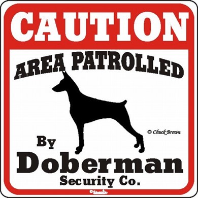Raining Cats and Dogs | Doberman Caution Sign, the Perfect Dog Warning Sign