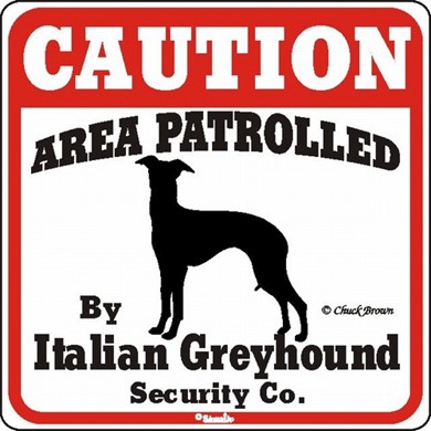Raining Cats and Dogs | Italian Greyhound Caution Sign, the Perfect Dog Warning Sign