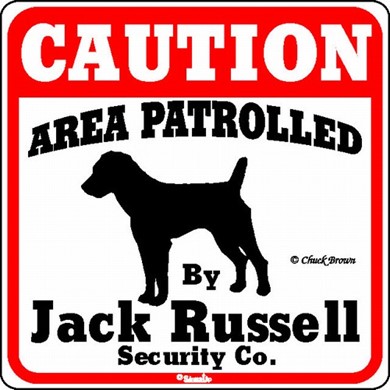 Raining Cats and Dogs | Jack Russell Caution Sign, the Perfect Dog Warning Sign