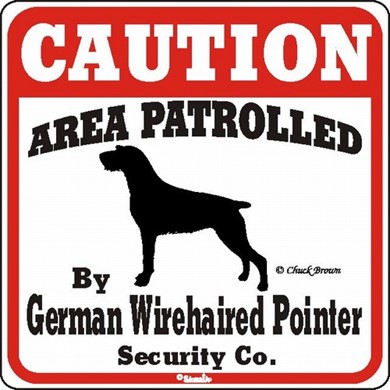 Raining Cats and Dogs | German Wirehaired Pointer Caution Sign, the Perfect Dog Warning Sign