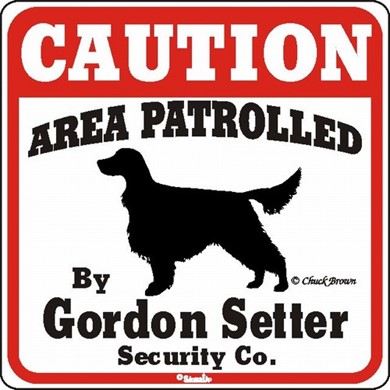 Raining Cats and Dogs | Gordon Setter Caution Sign, the Perfect Dog Warning Sign