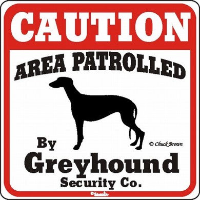 Raining Cats and Dogs | Greyhound Caution Sign, the Perfect Dog Warning Sign