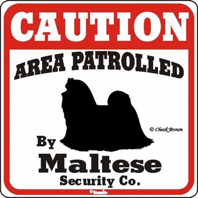 Raining Cats and Dogs | Maltese Caution Sign