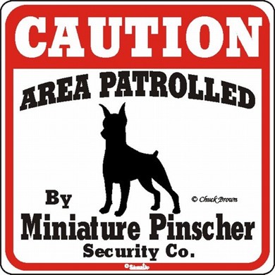 Raining Cats and Dogs | Miniature Pinscher Caution Sign