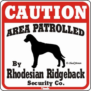 Raining Cats and Dogs | Rhodesian Ridgeback Caution Sign