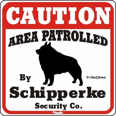 Raining Cats and Dogs | Schipperke Caution Sign