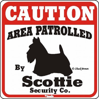 Raining Cats and Dogs | Scottish Terrier Caution Sign