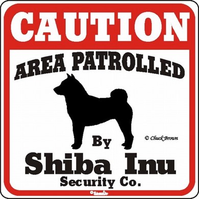 Raining Cats and Dogs | Shiba Inu Caution Sign