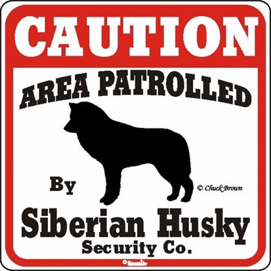 Raining Cats and Dogs | Siberian Husky Caution Sign