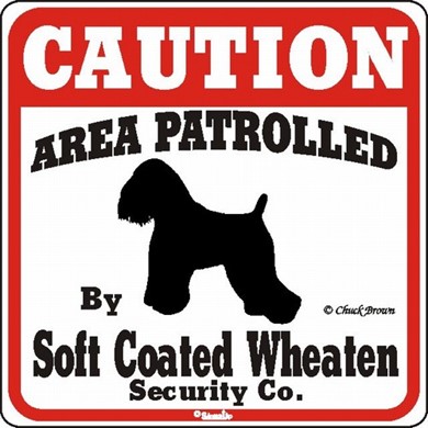 Raining Cats and Dogs |  Soft Coated Wheaten Caution Sign