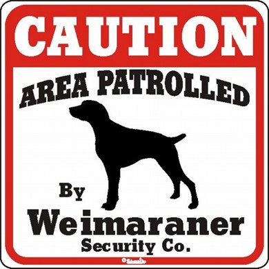 Raining Cats and Dogs | Weimaraner Caution Sign