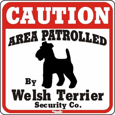 Raining Cats and Dogs | Welsh Terrier Caution Sign