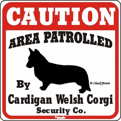 Raining Cats and Dogs | Welsh Corgi Cardigan Caution Sign