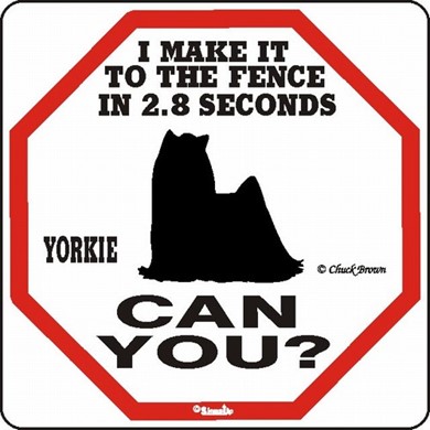 Raining Cats and Dogs | Yorkie Make It to the Fence in 2.8 Seconds Sign