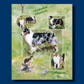 Raining Cats and Dogs | Australian Shepherd Gift Bag