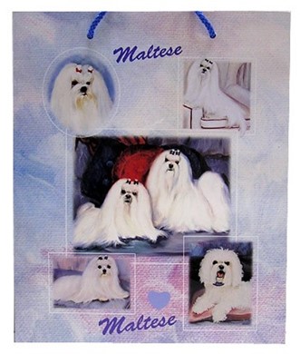 Raining Cats and Dogs | Maltese Gift Bag