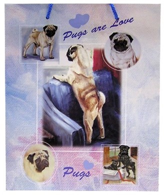 Raining Cats and Dogs | Pug Gift Bag