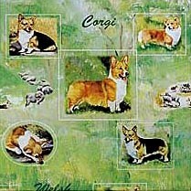 Raining Cats and Dogs | Welsh Corgi Gift Bag