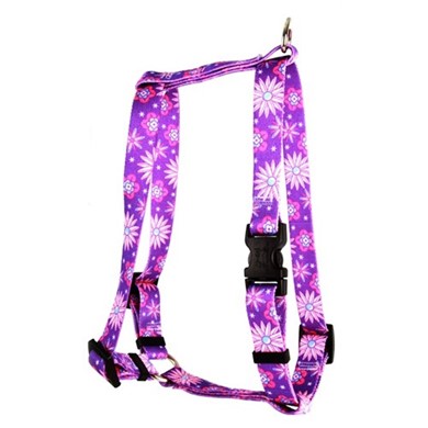 Raining Cats and Dogs | Flowers Harness