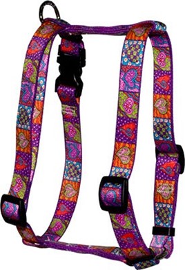 Raining Cats and Dogs | Crazy Hearts Harness