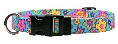 Raining Cats and Dogs | Flower Power Collar