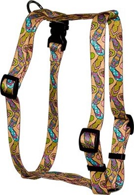 Raining Cats and Dogs | Flip Flops Harness