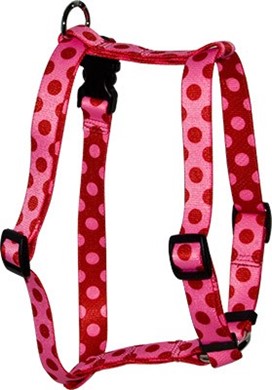 Raining Cats and Dogs | Valentine Polka Harness, Made in the USA