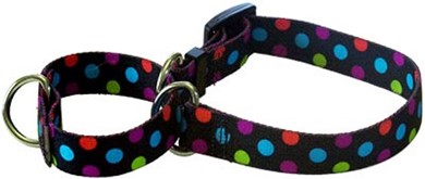 Raining Cats and Dogs | Gumballs Martingale Collar