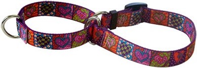 Raining Cats and Dogs | Crazy Hearts Martingale Collar