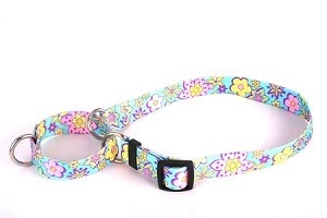 Raining Cats and Dogs | Flower Power Martingale Collar