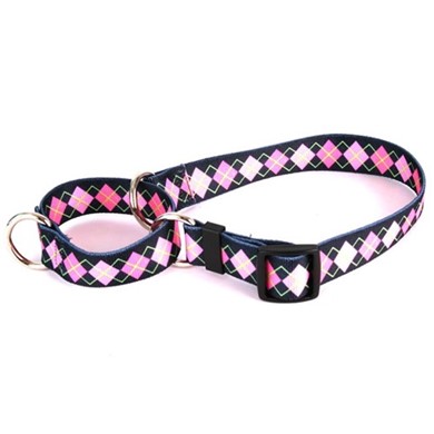 Raining Cats and Dogs | Argyle Martingale Collar